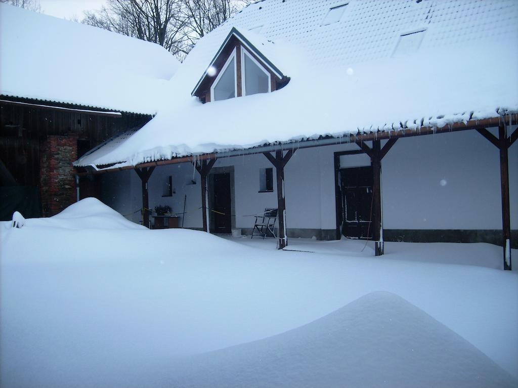 Penzion U Dvojice Hotel Nove Mesto na Morave Bagian luar foto