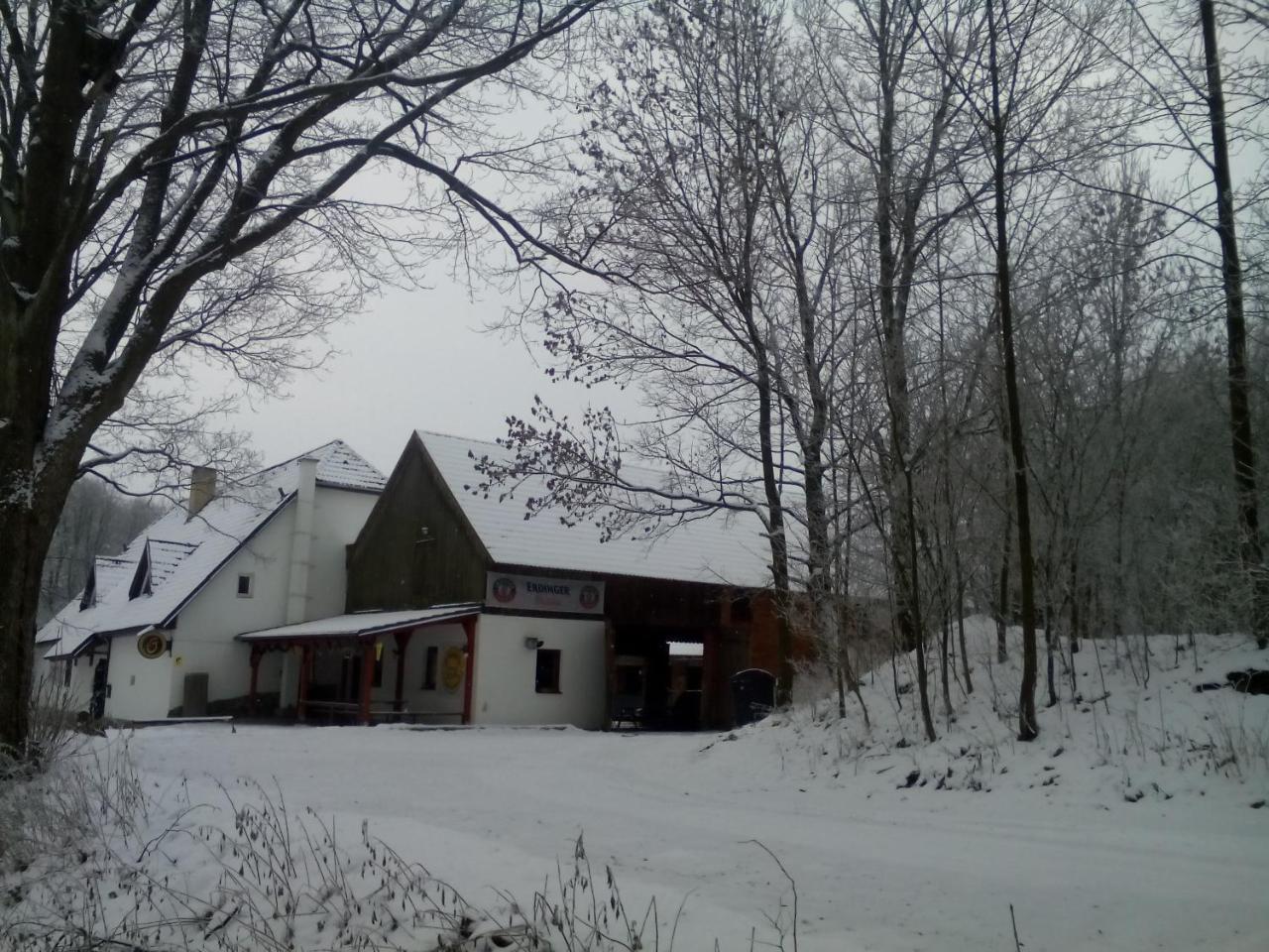 Penzion U Dvojice Nove Mesto na Morave Bagian luar foto